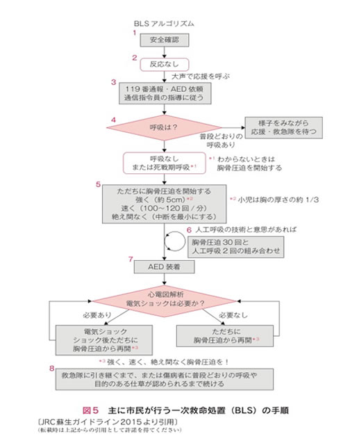 図:心肺蘇生フロー