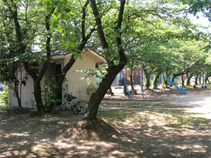 写真：布袋児童遊園の状況3