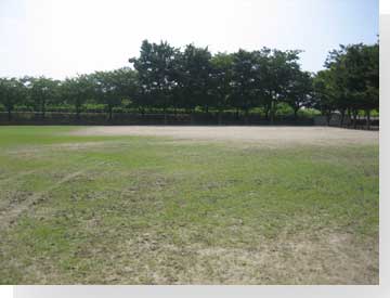 写真: