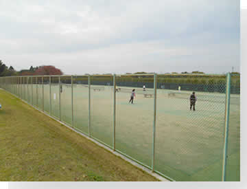 写真: