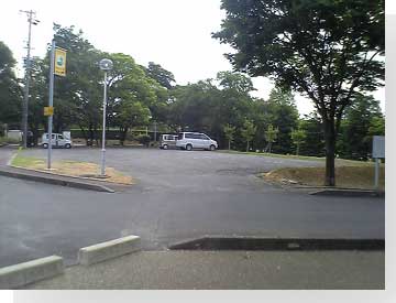 写真: