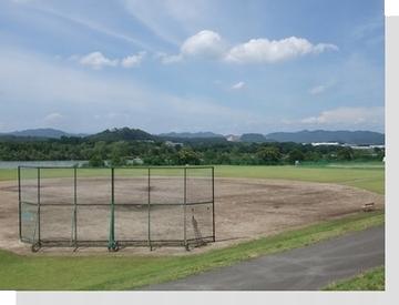 写真: