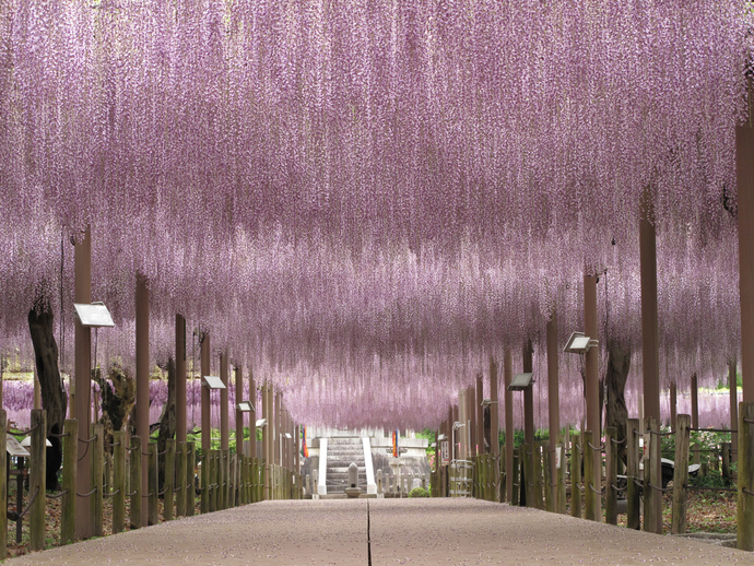 写真:1
