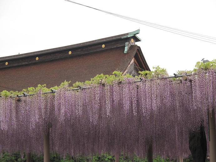写真:4