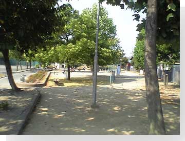 写真:公園施設の状況3