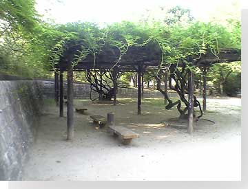 写真:
