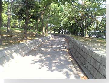 写真: