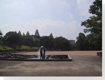 写真:
