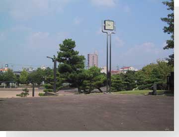 写真:
