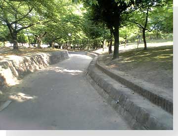 写真: