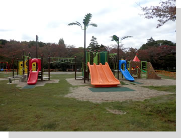 写真: