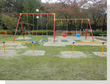 写真: