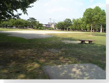 写真: