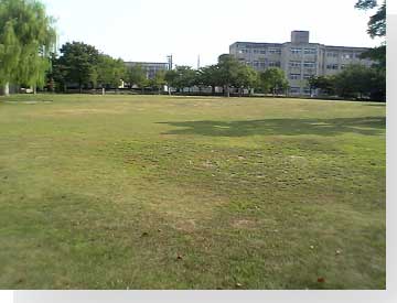 写真: