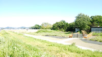 写真:2