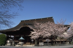 写真：曼陀羅寺正堂