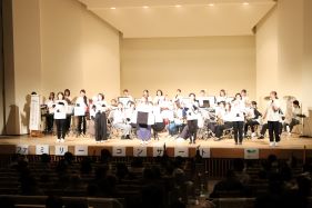 fes3