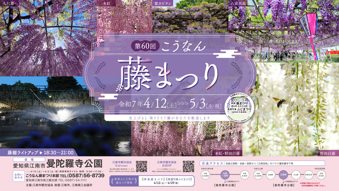 第60回こうなん藤まつり