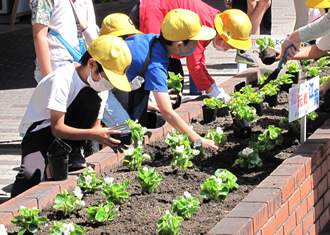 花を植える小学生の様子3