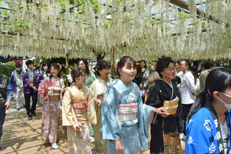 嫁見まつりの行列の写真