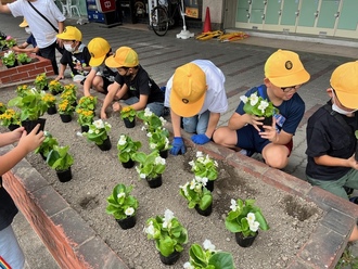 江南駅前花いっぱい運動の写真