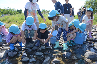 川にウナギの稚魚を放流する園児たちの写真